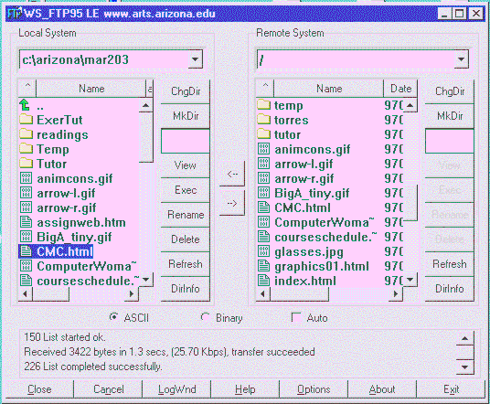 WS_FTP file transfer window.
